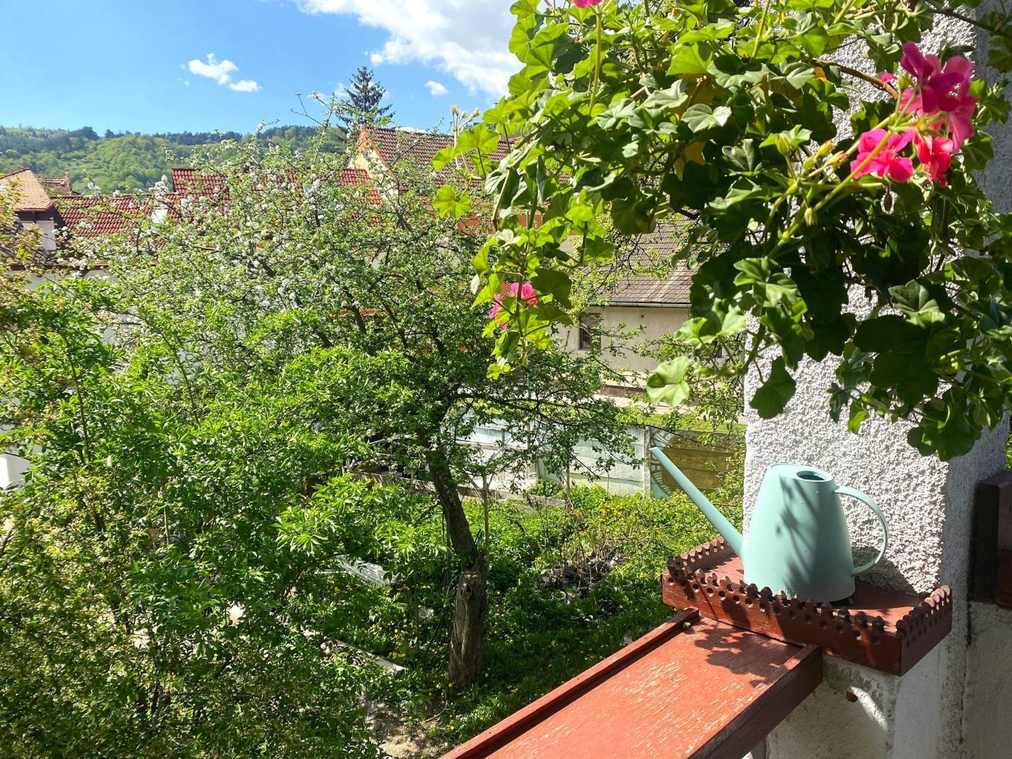 Rose'S Oldtown Apartment Brašov Exteriér fotografie