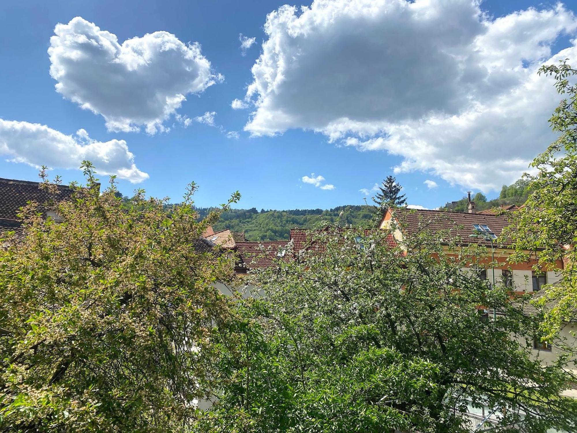 Rose'S Oldtown Apartment Brašov Exteriér fotografie